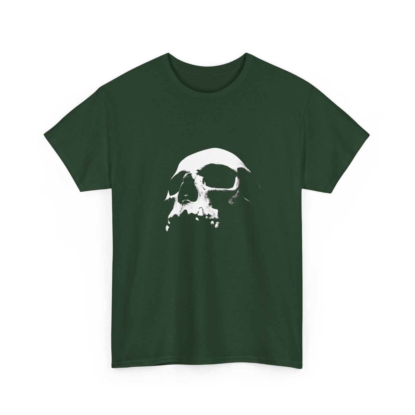 Skull Graphic Unisex Heavy Cotton Tee