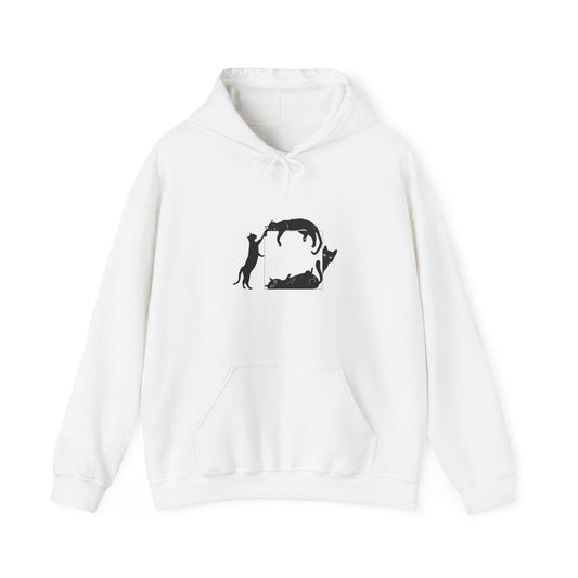 "Curious Cat Frame" Unisex Hoodie