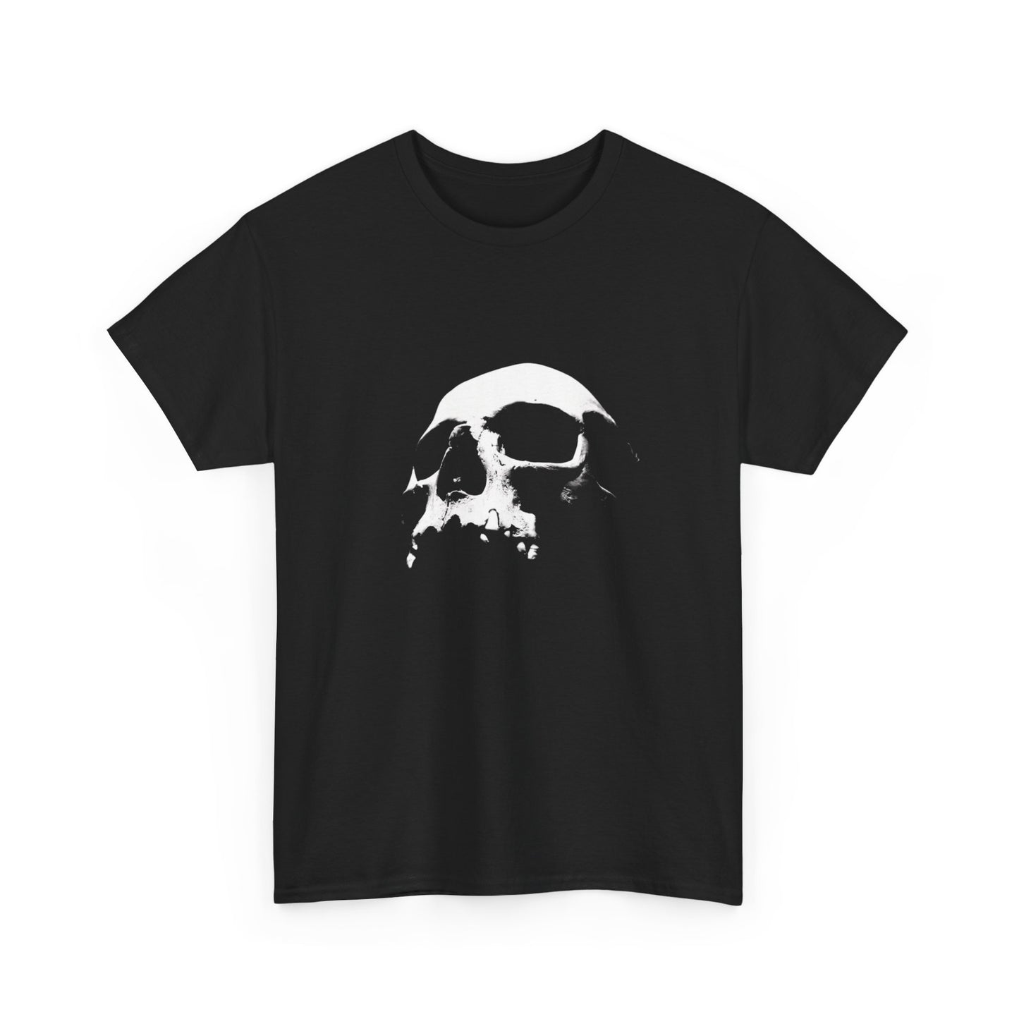 Skull Graphic Unisex Heavy Cotton Tee